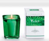 Felci Perfumed Candle