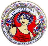 Vaselina Gal Fresa 15 ml