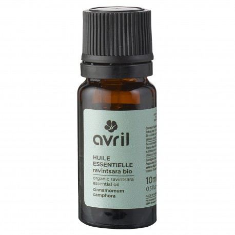 Ravimentaria Essential Oil 10 ml