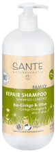 Ginkgo &amp; Olive Shampoo Tratante