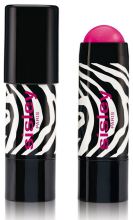 Phyto-Blush Twist #5-Contour 5,5 gr Phyto-Blush Twist #5-Contour 5,5 gr