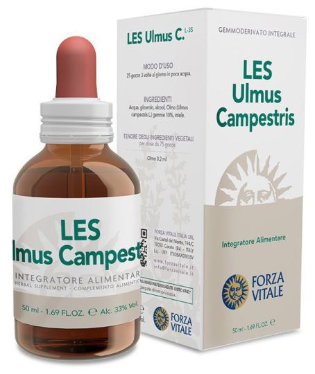 Ulmus Minor Field Elm 50 ml Ulmus Minor Field Elm 50 ml