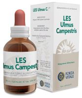 Ulmus Minor Field Elm 50 ml Ulmus Minor Field Elm 50 ml