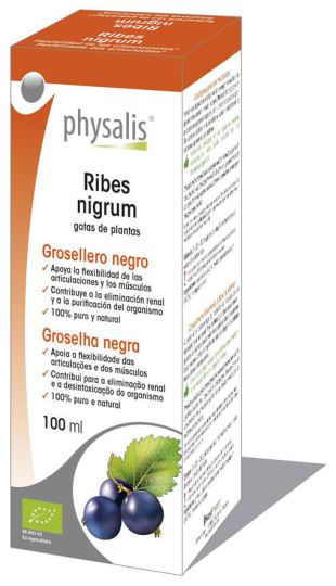 Ribes nigrum extract Bio 100Ml Ribes nigrum extract Bio 100Ml