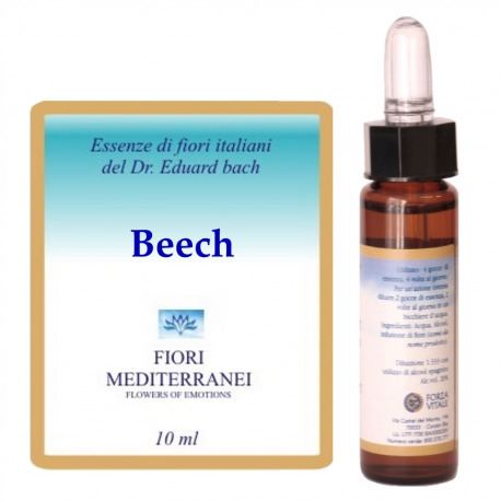 Forza Vitale Fm 3 Beech 10 ml
